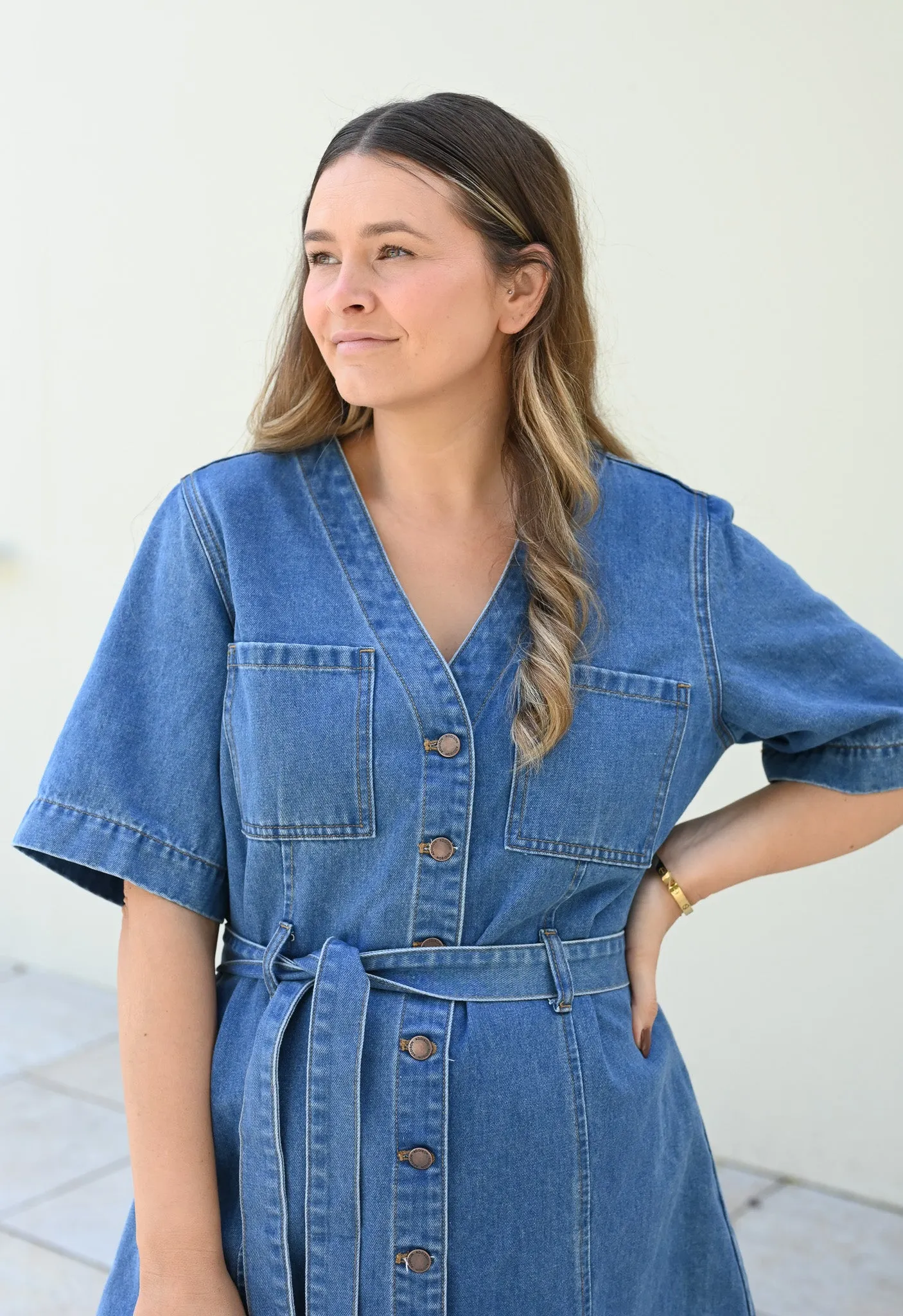 Ellie Denim Dress